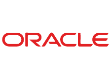 Oracle Application Development Services by Techverx, a leading custom software solutions company with more than 10 years of experience.
