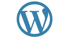 WE are the best WordPress development company USA with core expertise in creating responsive and secure websites.